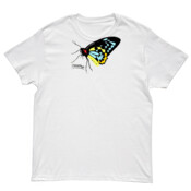 birdwing butterfly (white only)